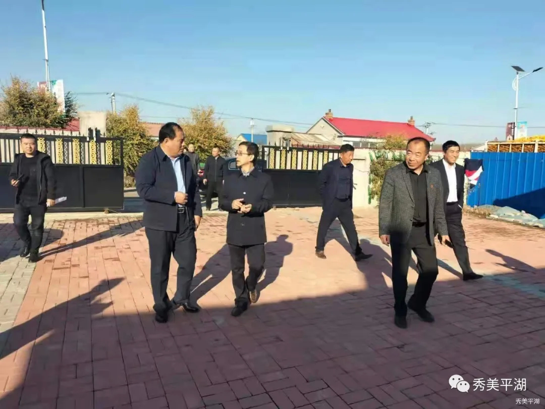 长春市乡村振兴局“千村示范”创建核查验收工作组到平湖街道开展核查验收工作