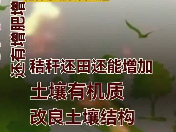 【秸秆禁烧 保护环境】一问一答 | 秸秆禁烧相关问题④