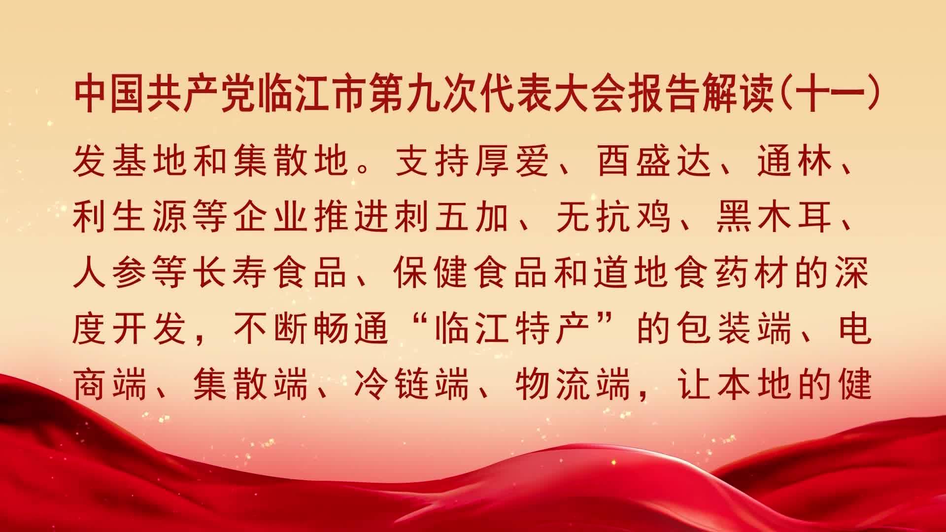 中国共产党临江市第九次代表大会报告解读（十一）（10月27日首播）