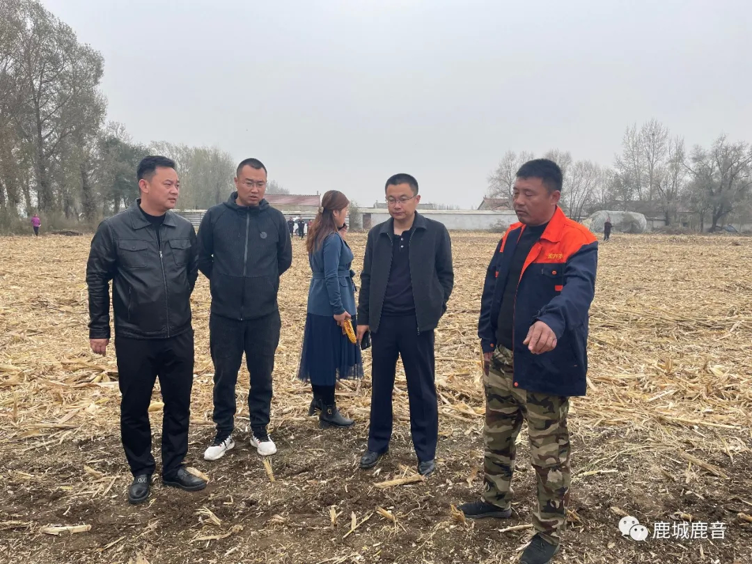 乡镇召开玉米秸秆打包离田现场观摩会