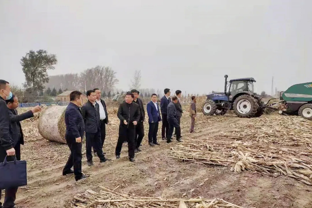 区委副书记滕广涛一行到齐家镇调研检查工作