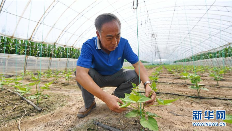 黑土地上的“贴心人”王贵满（中共四平市委网信办推荐）