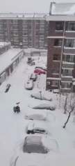 大安：民众自发清雪提升城市“温度”