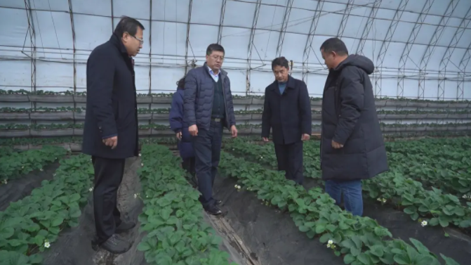 应对雨雪冰冻天气：专家入户协助做好农业防寒指导