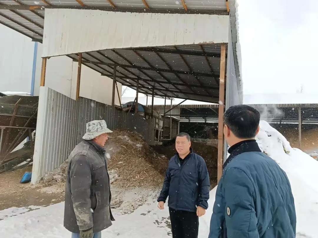 山河街道多措并举应对极端天气