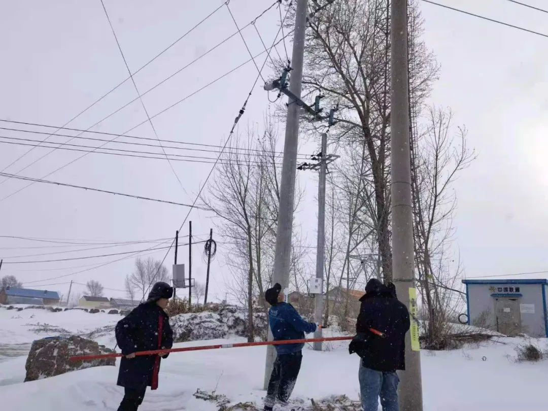 大安：各部门积极应对极端天气 保电 保水 保畅通