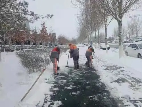 央视《朝闻天下》关注长春市环卫工人昼夜清雪