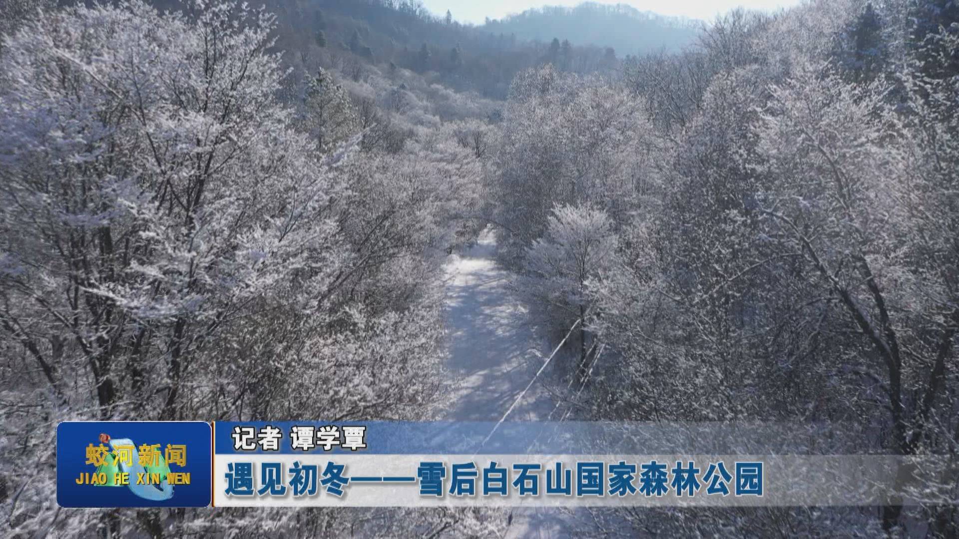 遇见初冬——雪后白石山国家森林公园