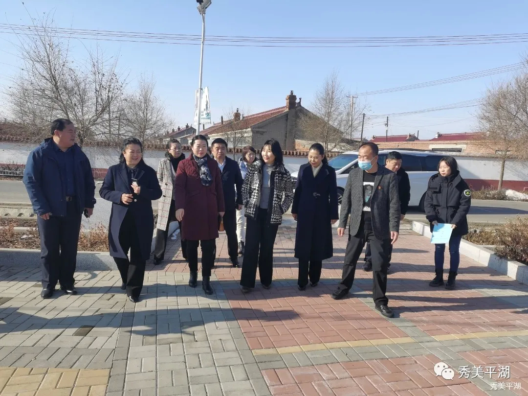 长春市妇联主席丛中梅到平湖街道黑鱼村调研