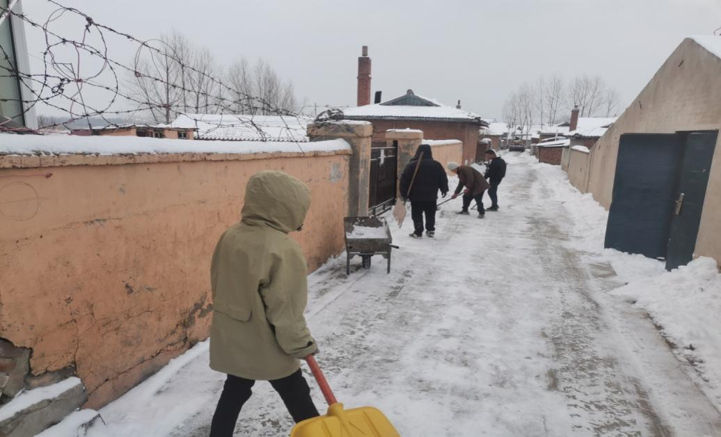 智新镇铆足干劲清积雪  齐心协力保平安