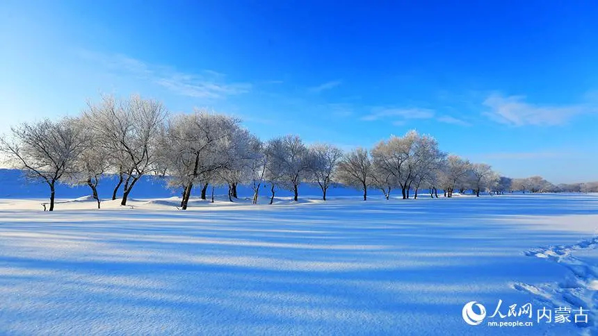 今日小雪，记得添衣～