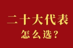 二十大代表怎么选？