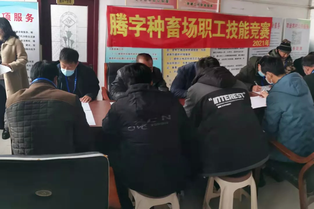 乾安县腾字种畜场举办职工职业技能竞赛