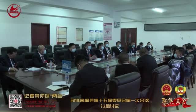 【聚焦“两会”】政协通榆县第十五届委员会第一次会议分组讨论