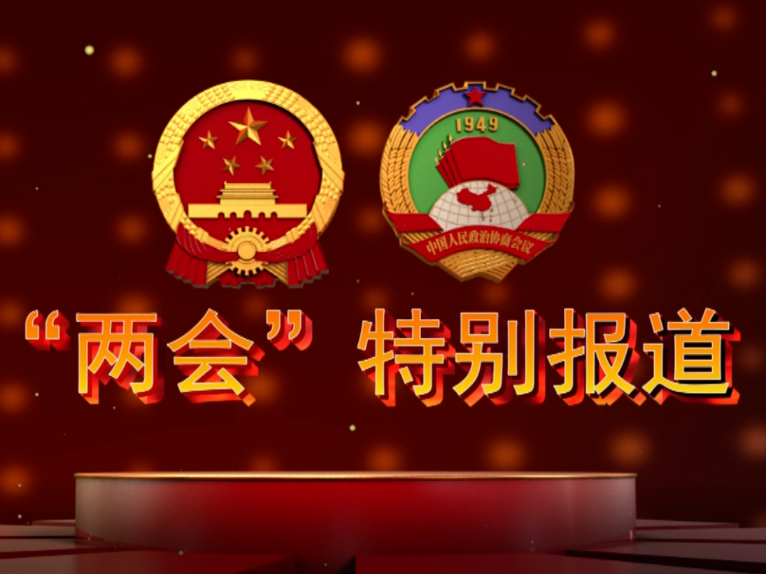 【两会特别报道】蛟河市第十九届人民代表大会第一次会议召开代表团会议