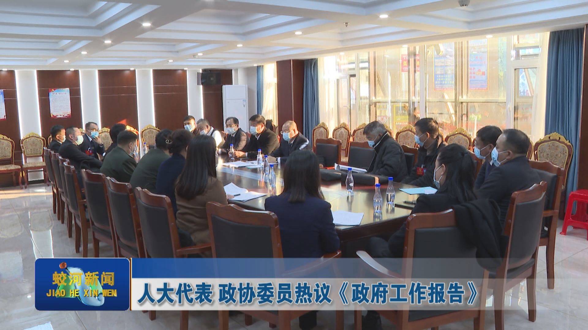 【学习贯彻“两会”精神】人大代表 政协委员热议《政府工作报告》