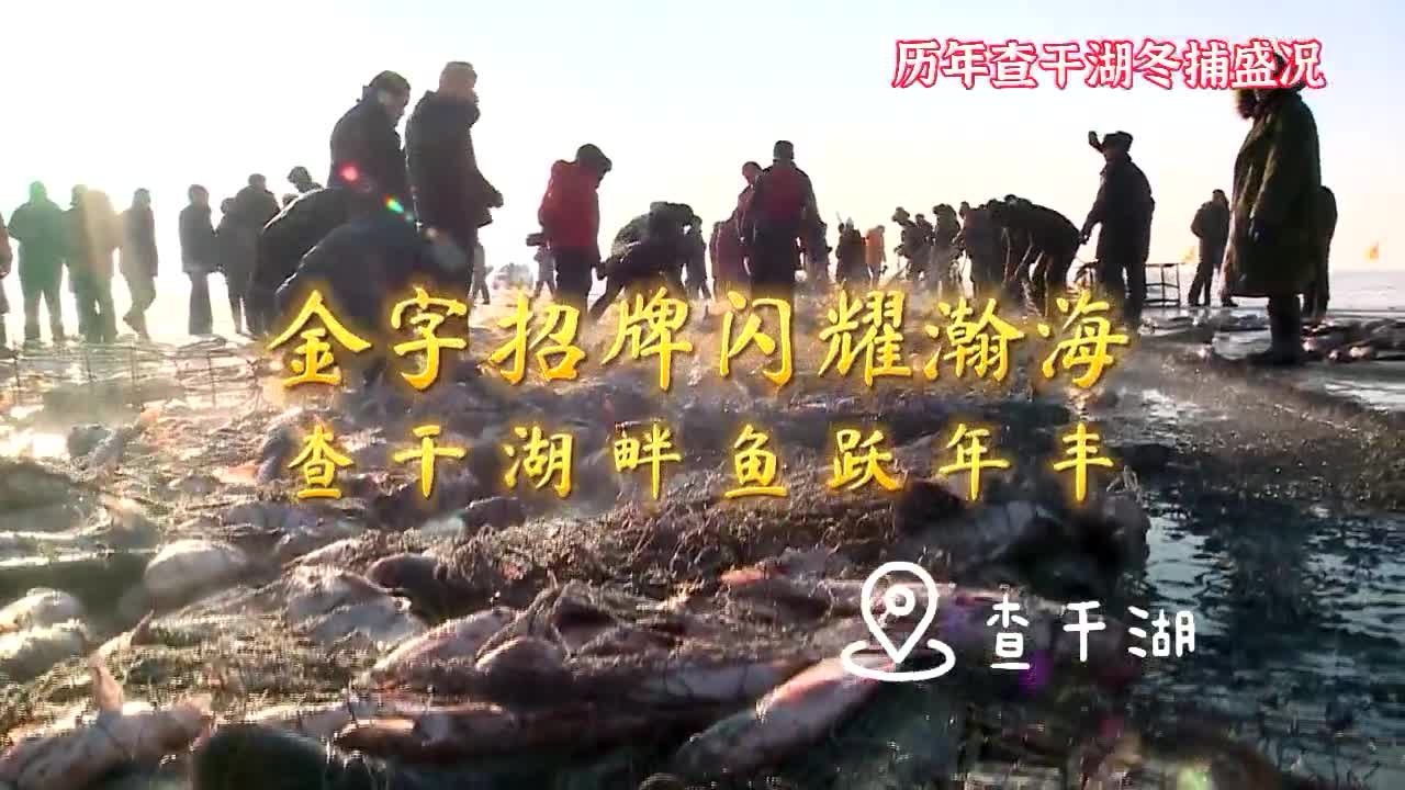 【查干湖冬捕进行时】历年查干湖冬捕盛况