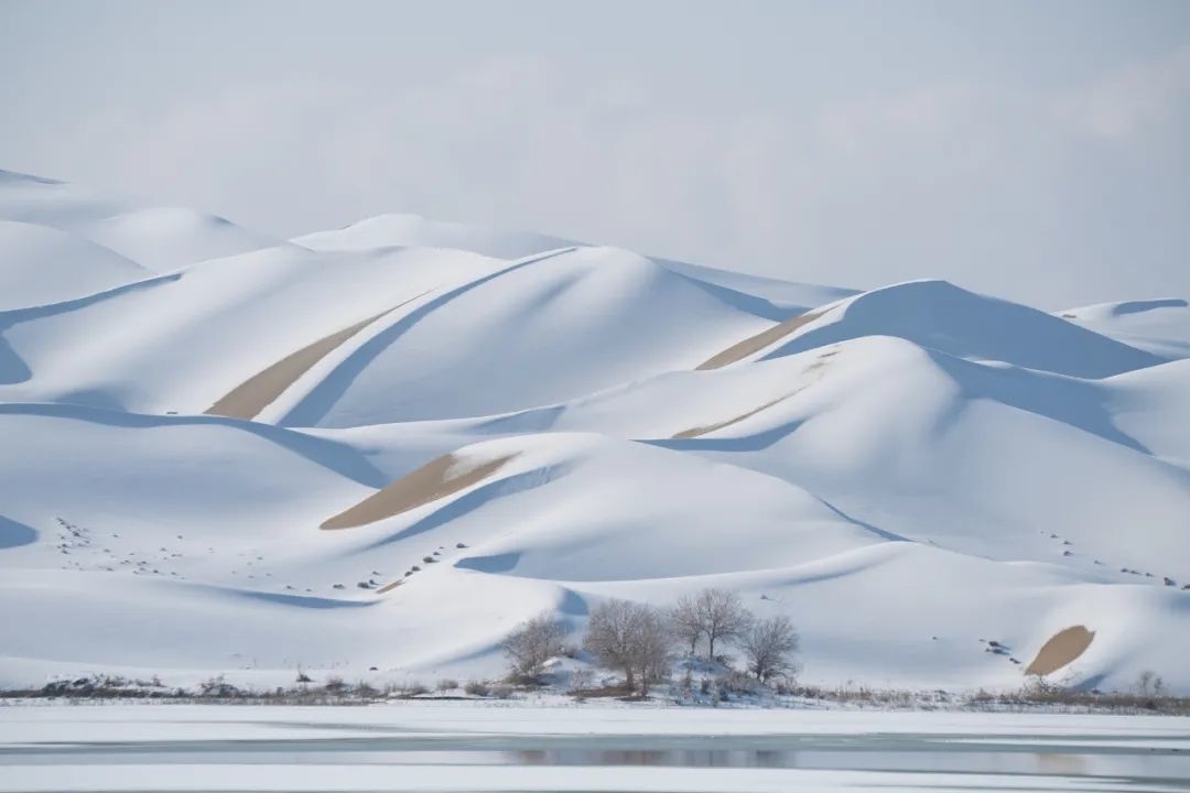 罕见！塔克拉玛干沙漠下雪了