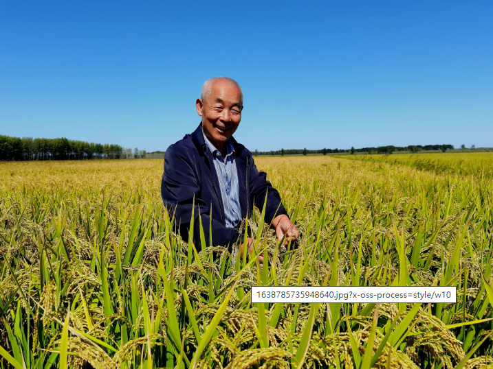 牛！吉林粮食总产量首次超800亿斤！