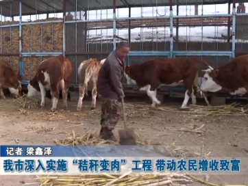 蛟河市深入实施“秸秆变肉”工程 带动农民增收致富