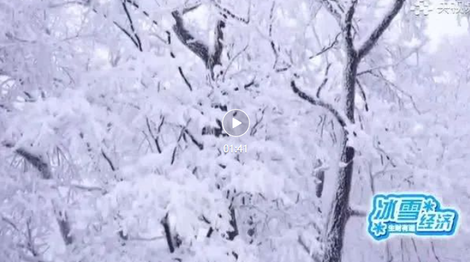 老白山雪村国际文化旅游体育节开幕