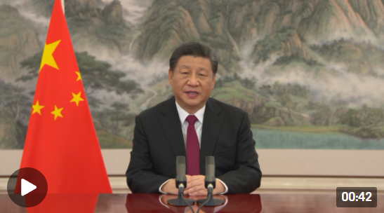 独家视频丨习近平：坚持拆墙而不筑墙、开放而不隔绝、融合而不脱钩，推动构建开放型世界经济