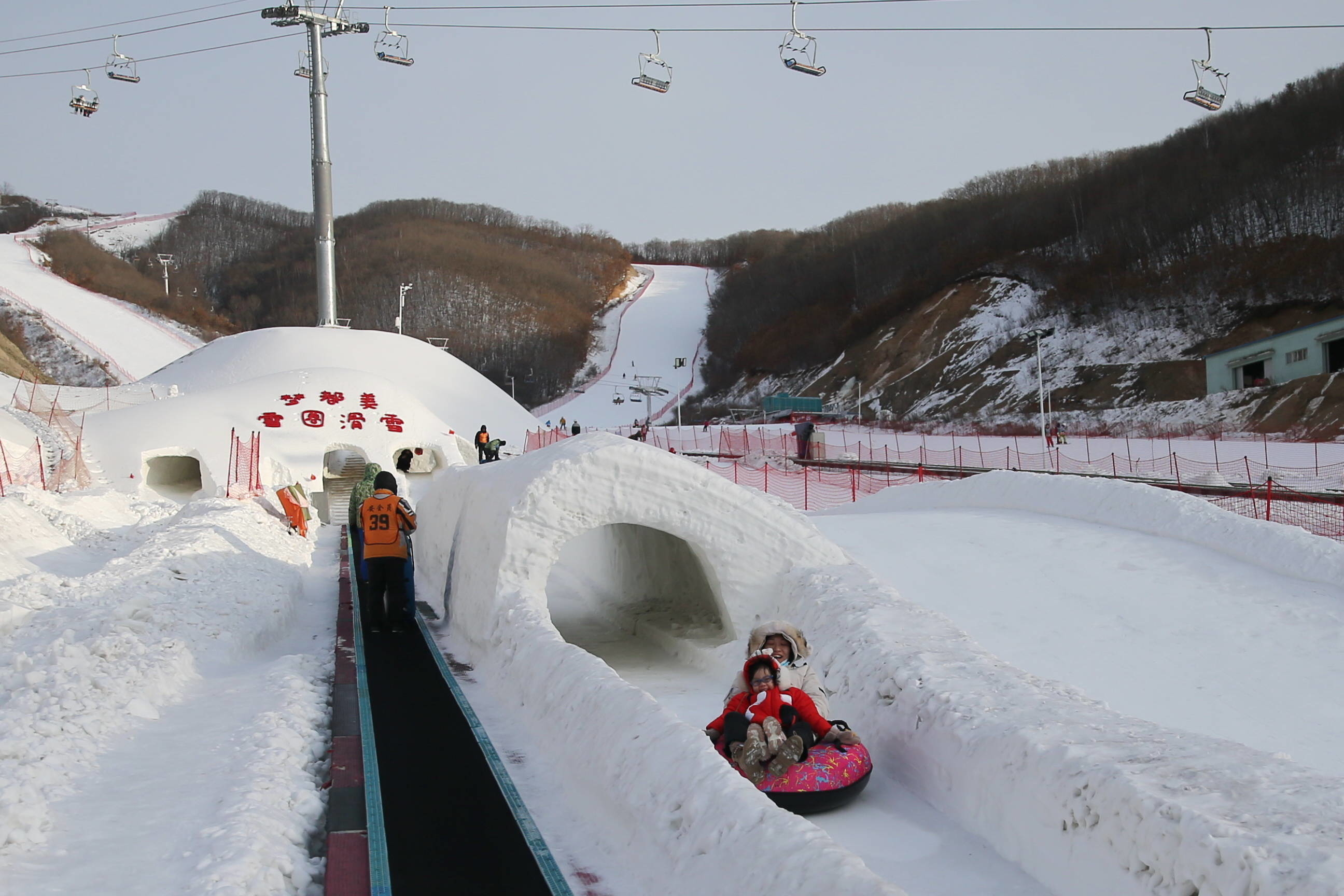 一起向未来 纵横雪野 驰骋赛道