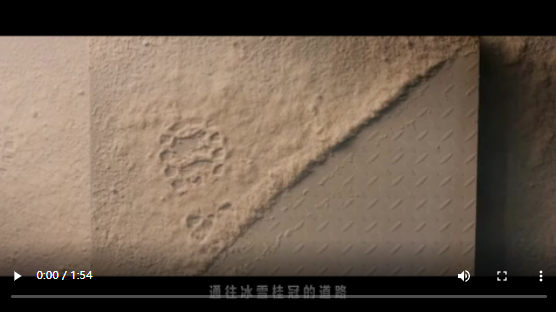 相约冰雪，一起来丨逐梦前行