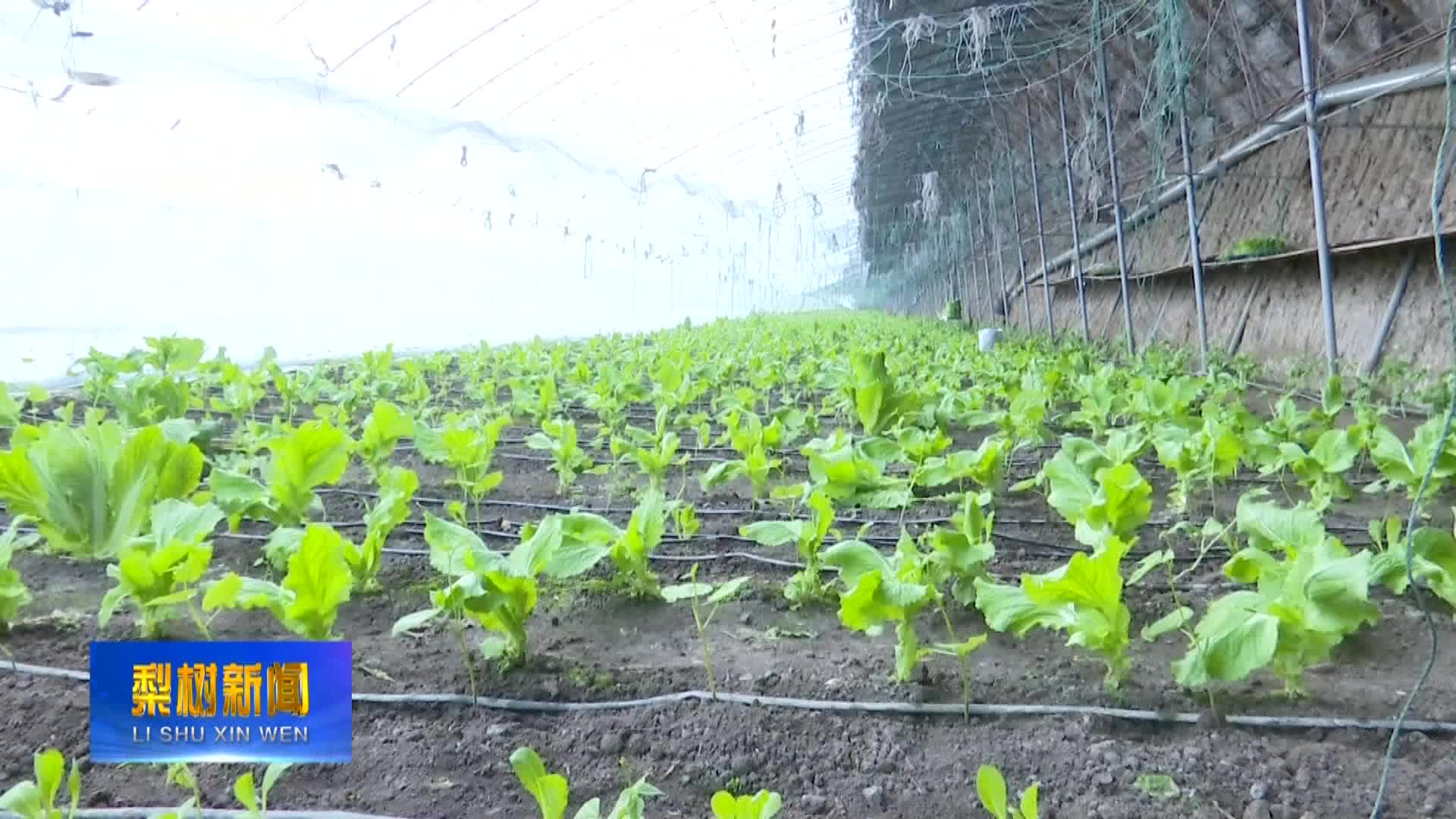 省统计局农业处处长王东一行来我县调研