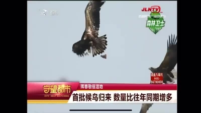 【守望都市】珲春敬信湿地：首批候鸟归来 数量比往年同期增多