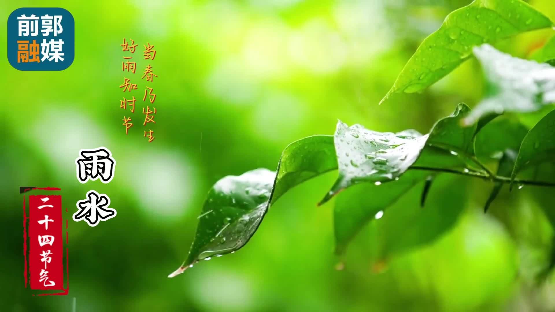 中国传统二十四节气——雨水