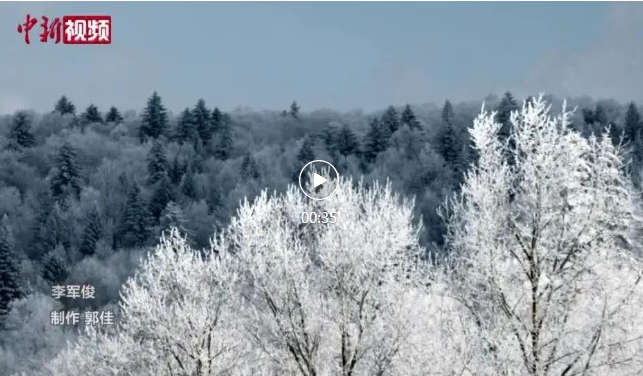 【视频】中国新闻网：30秒看冰雪胜境 吉林延边新春雾凇美如画