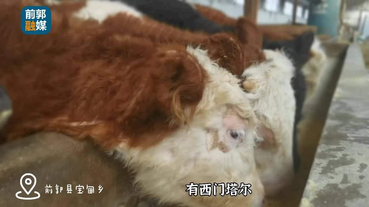 这个人的朋友圈，真“牛”！