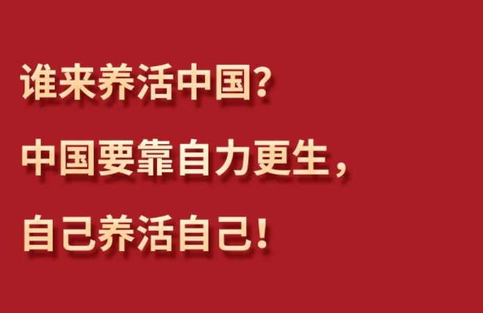 习言道丨习近平为何再答“谁来养活中国”？