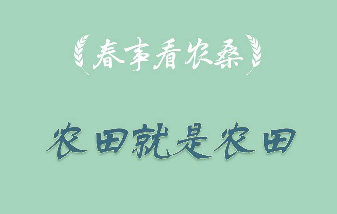 春事看农桑丨农田就是农田