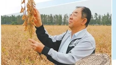 中国大豆，为什么要“争气”？