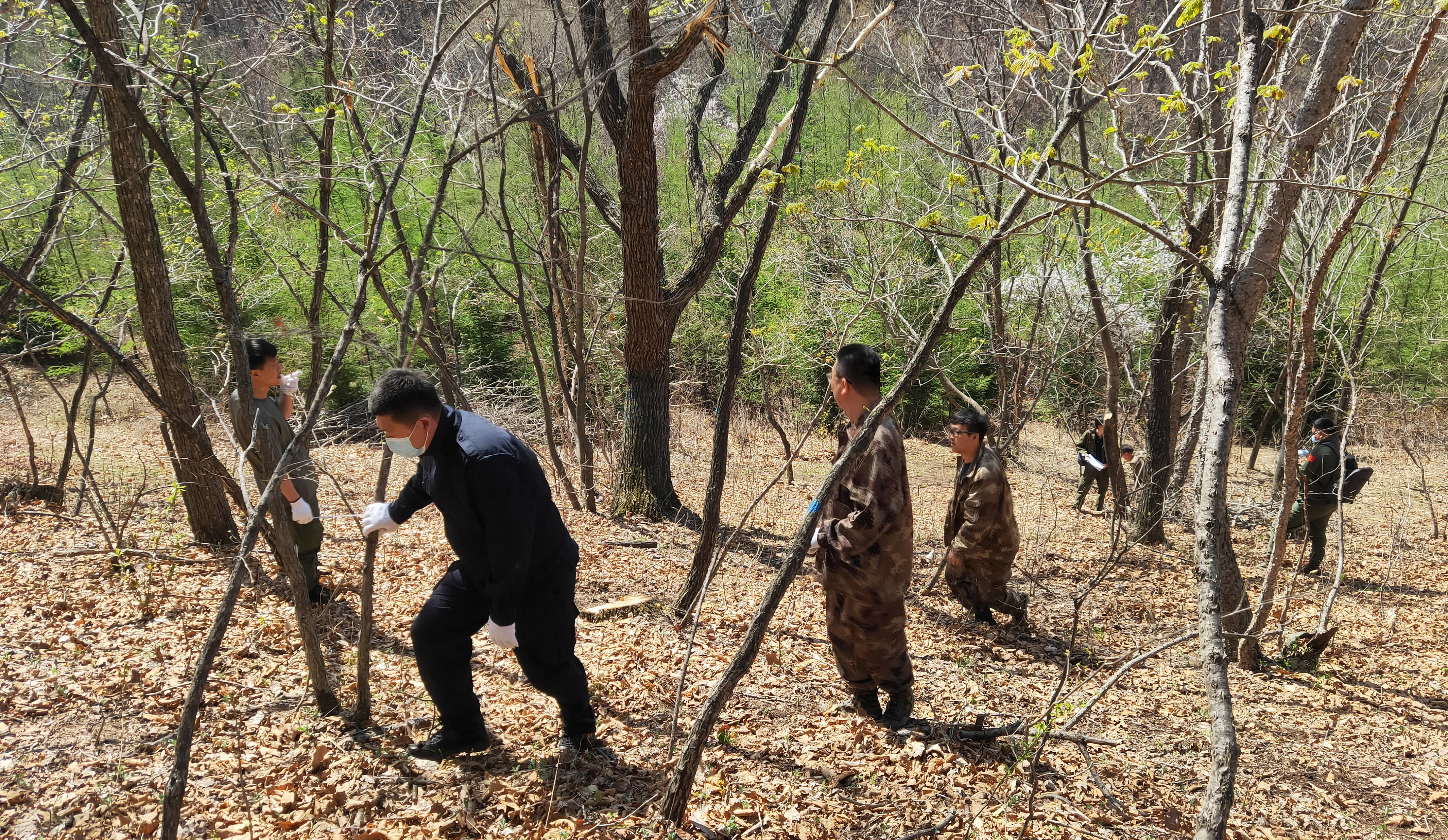 图们市林业局联合市公安局森林警察大队开展巡山执法专项检查行动