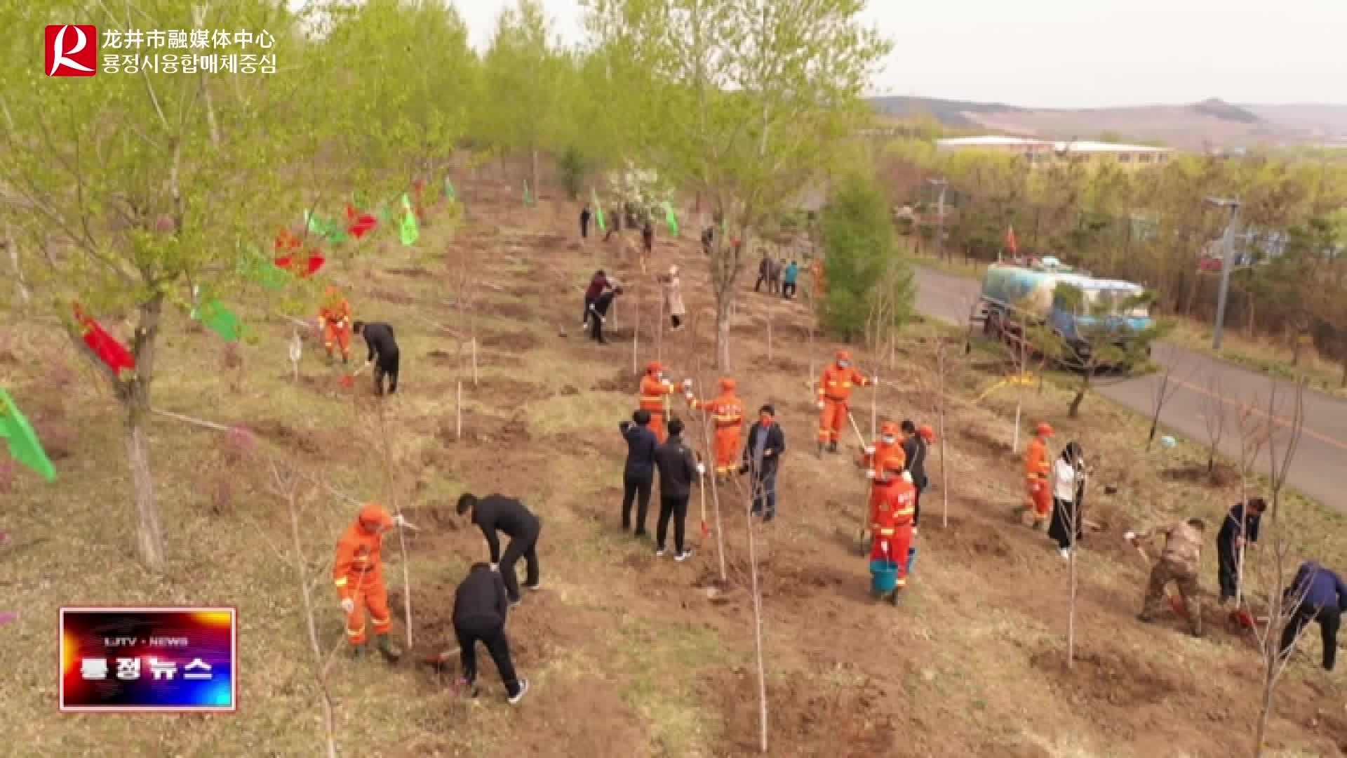 【룡정뉴스】우리시 시급지도자 의무식수활동에 참가