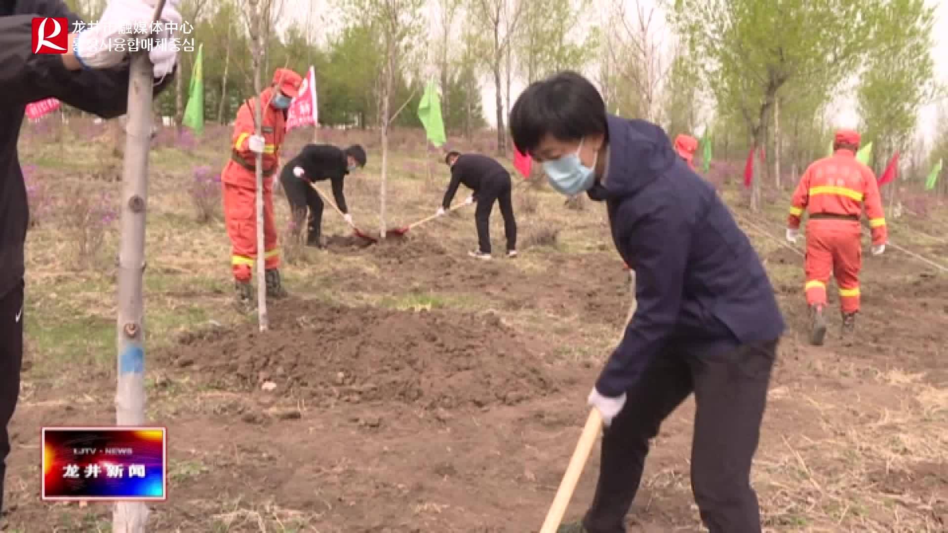 【龙井新闻】植树造林正当时 龙井大地添新绿