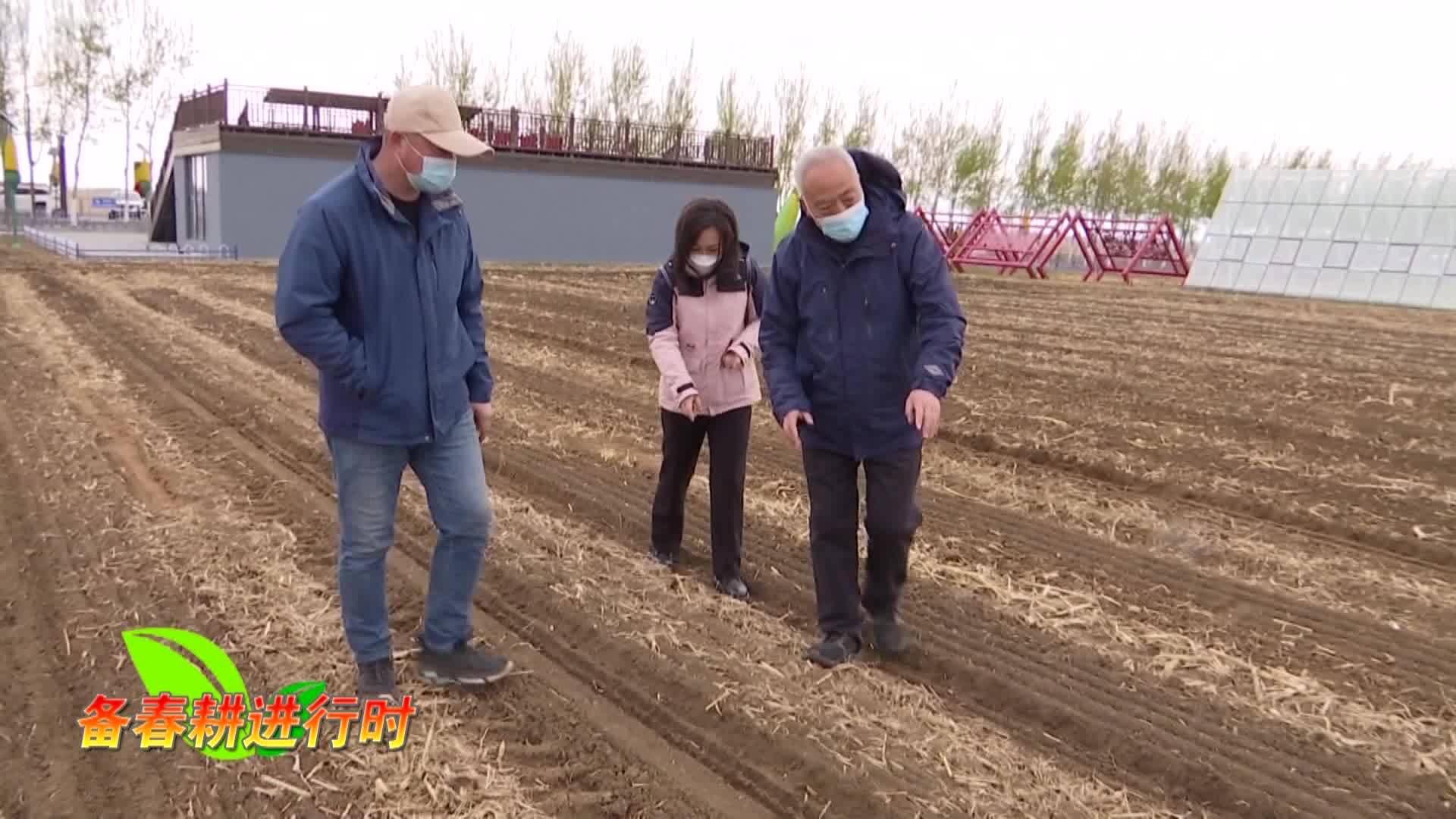 梨树县：保护黑土地 扛起“大粮仓”