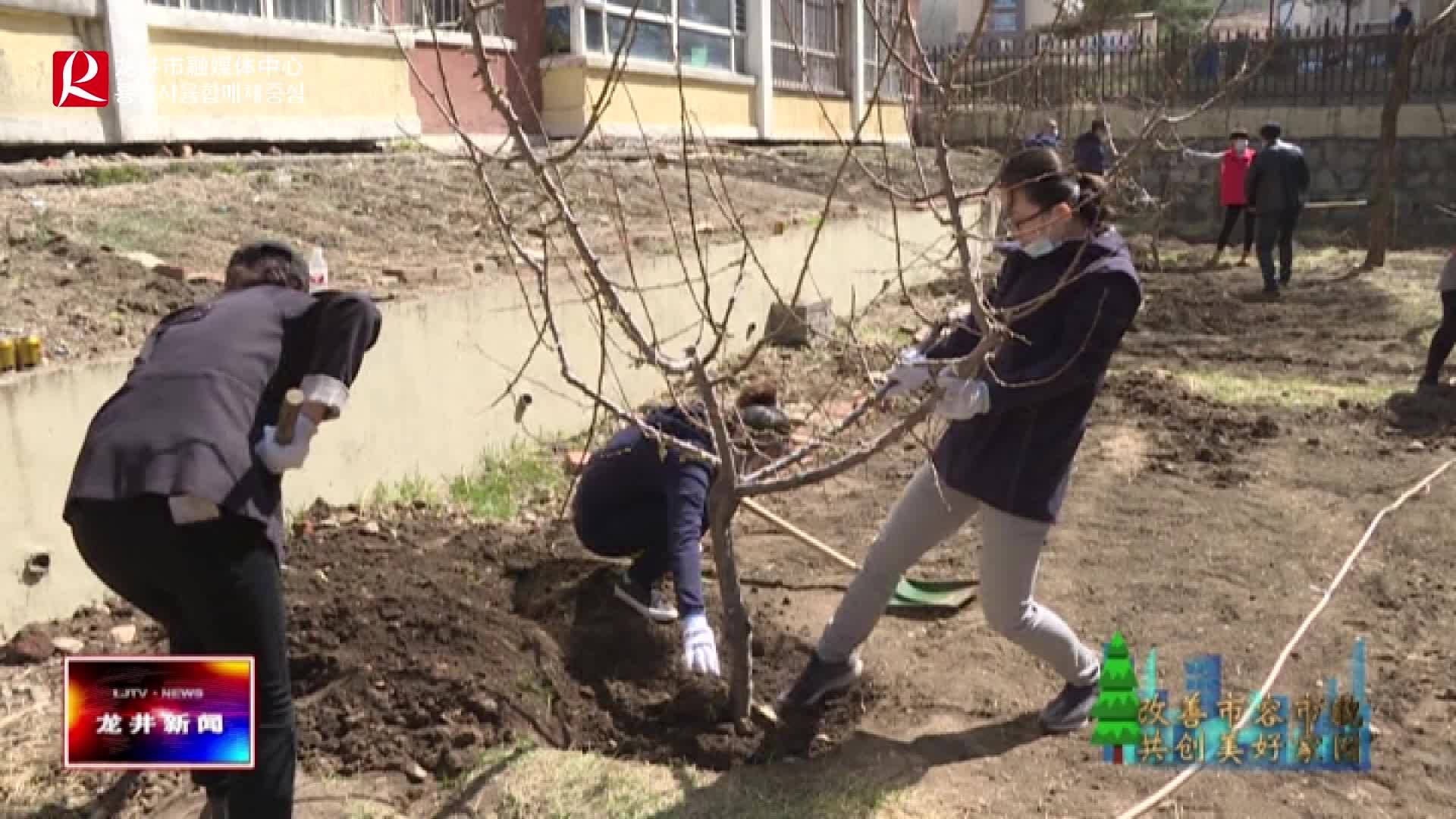 【龙井新闻】安民街道开展植树活动 为美丽家园添加新绿