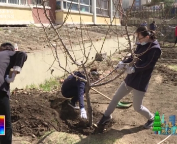 【龙井新闻】安民街道开展植树活动 为美丽家园添加新绿