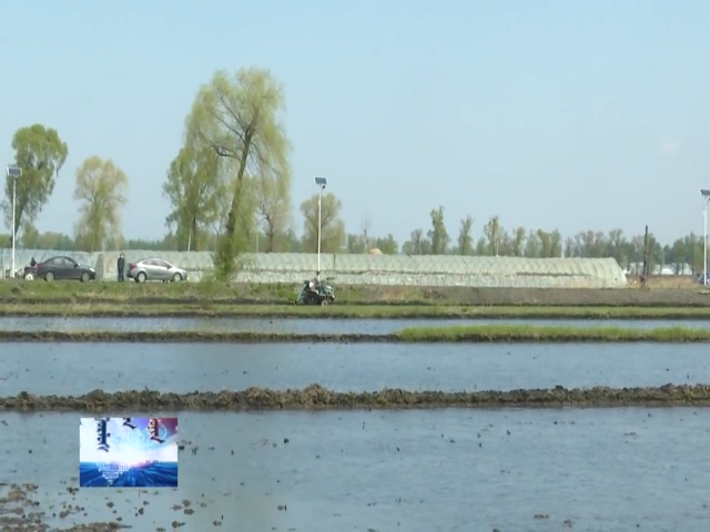 前郭灌区松润农业发展有限公司率先拉开水稻插秧序幕