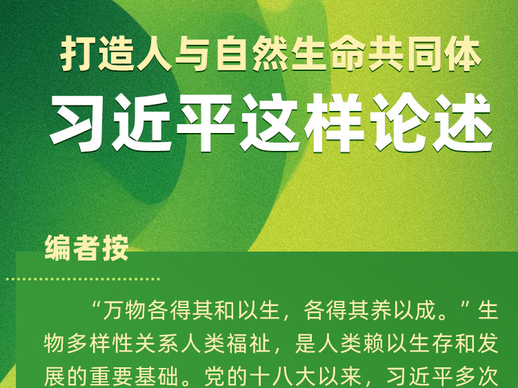 打造人与自然生命共同体  习近平这样论述