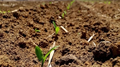 今年吉林省保护性耕作面积力争达3200万亩