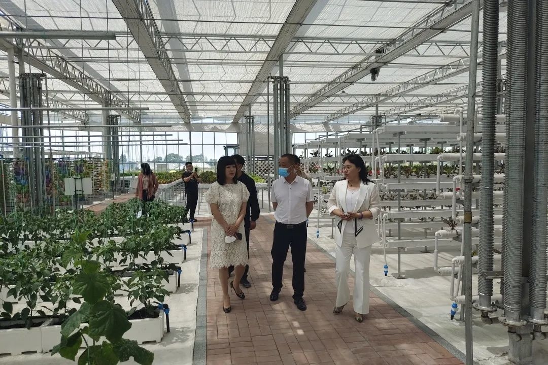 【走遍乾安】市侨联到乾安县侨企和困难侨胞家中慰问调研