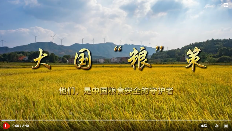 大国“粮”策丨“节水抗旱稻之父”罗利军的科研“稻”路