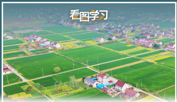 看图学习｜严守18亿亩耕地红线 总书记念兹在兹
