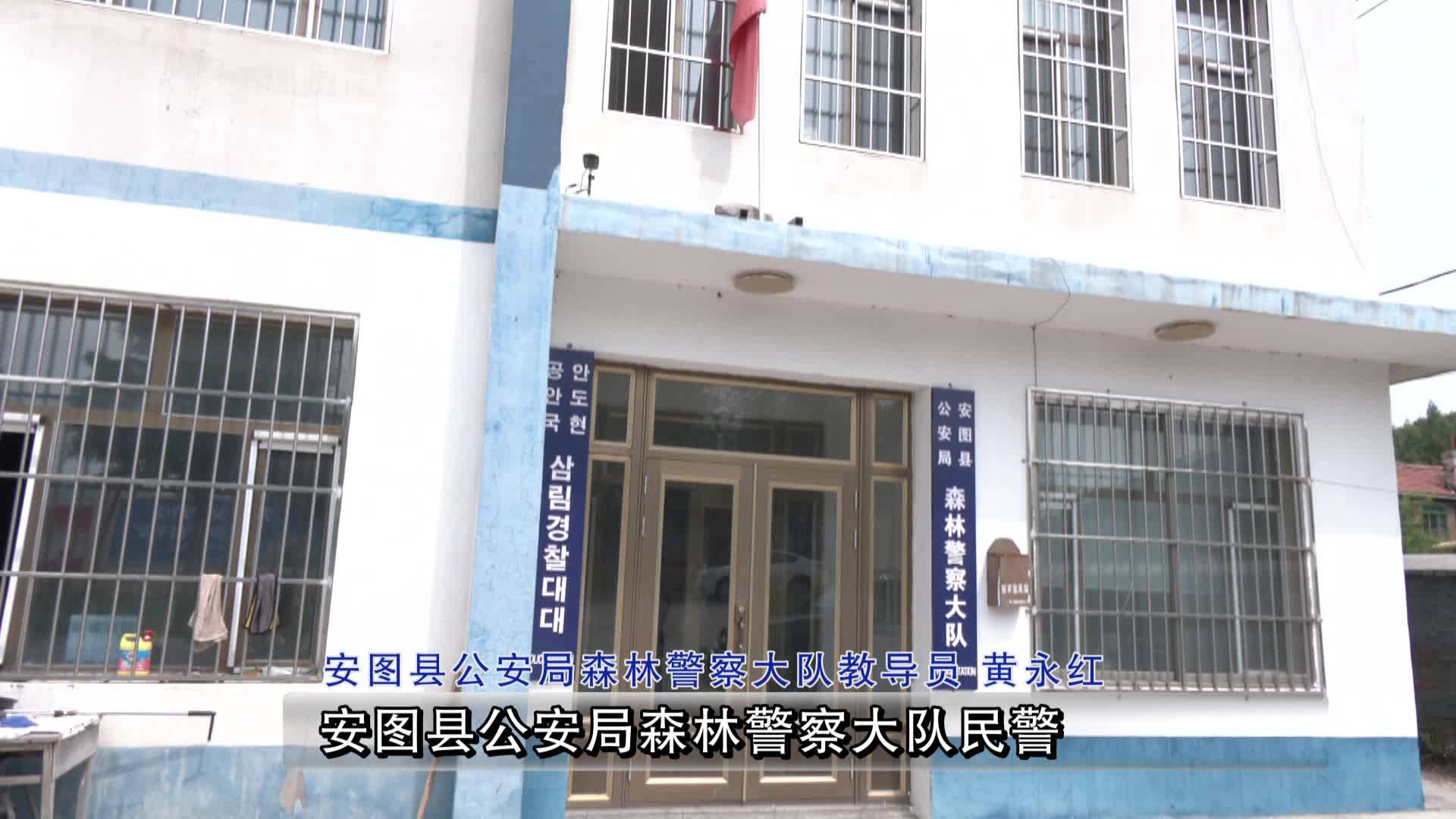 猫头鹰“落难” 民警及时救助