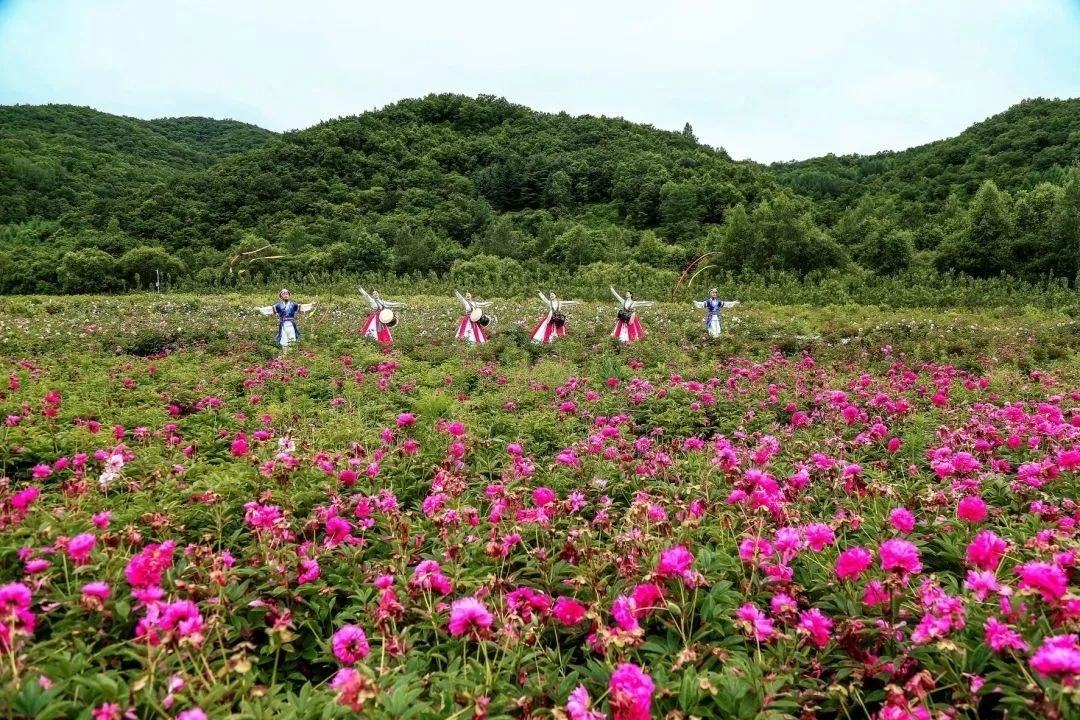 汪清-百草沟“生态乡村 魅力花谷”